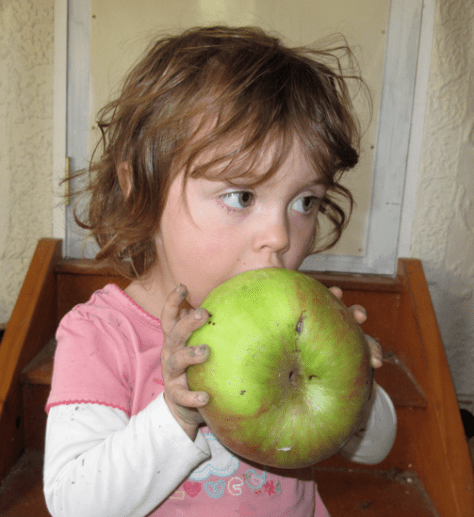 Screen shot 2015-04-27 at 8.40.40 AM