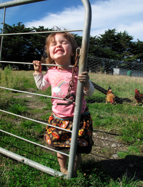 Screen shot 2015-04-27 at 8.41.53 AM