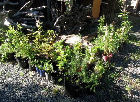 Screen shot 2015-04-27 at 8.38.46 AM