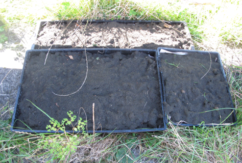 Screen shot 2015-04-27 at 8.38.54 AM