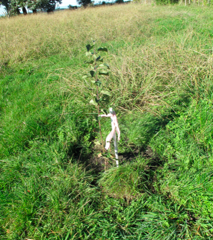 Screen shot 2015-04-27 at 8.39.45 AM