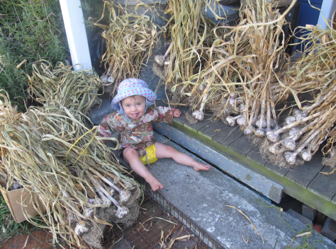 Screen Shot 2015-06-12 at 8.12.59 pm