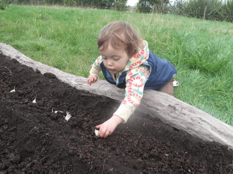 Screen Shot 2015-06-12 at 8.13.20 pm