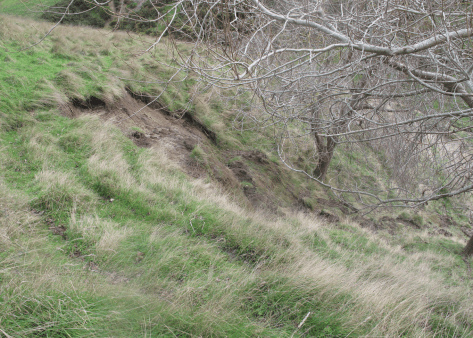 Screen Shot 2015-06-24 at 5.41.07 pm