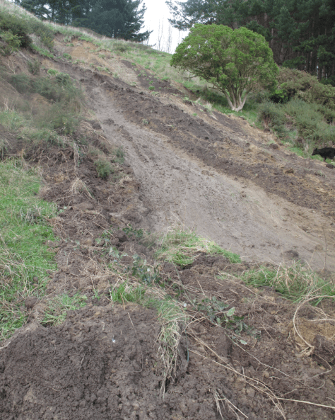 Screen Shot 2015-06-24 at 5.41.46 pm