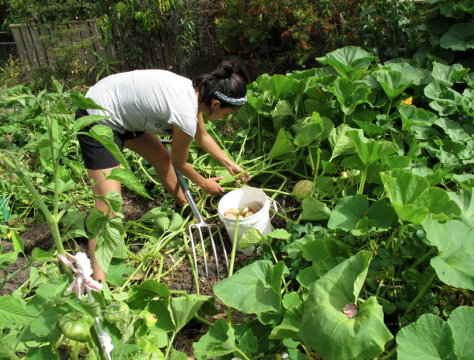 Screen shot 2015-07-08 at 10.34.40 AM