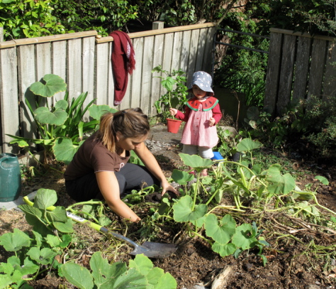 Screen shot 2015-07-08 at 10.35.55 AM