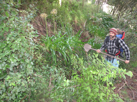 Screen Shot 2015-07-16 at 9.36.18 am