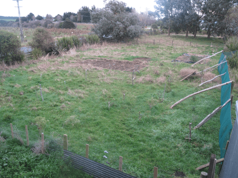 Screen Shot 2015-08-02 at 8.58.12 am