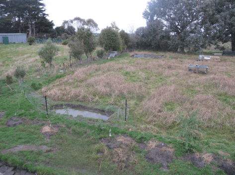 Screen Shot 2015-08-02 at 8.58.34 am