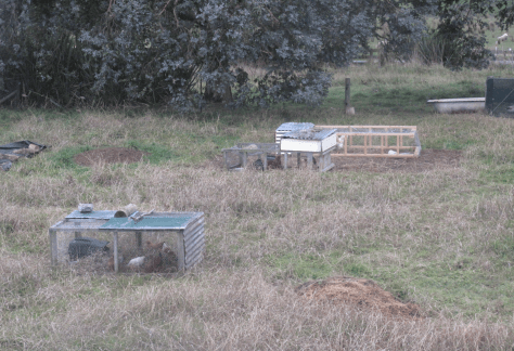 Screen Shot 2015-08-02 at 8.59.05 am