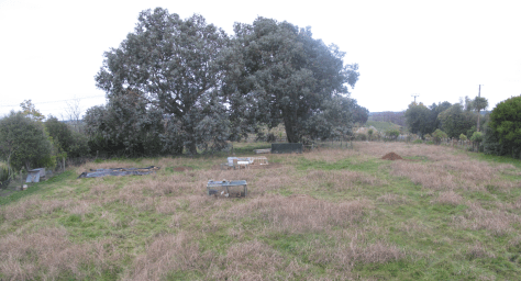 Screen Shot 2015-08-02 at 9.00.42 am