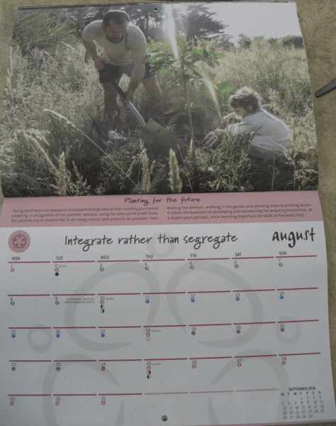 Screen Shot 2015-08-12 at 8.45.07 am