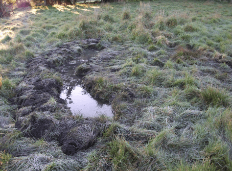 Screen Shot 2015-08-12 at 8.45.28 am