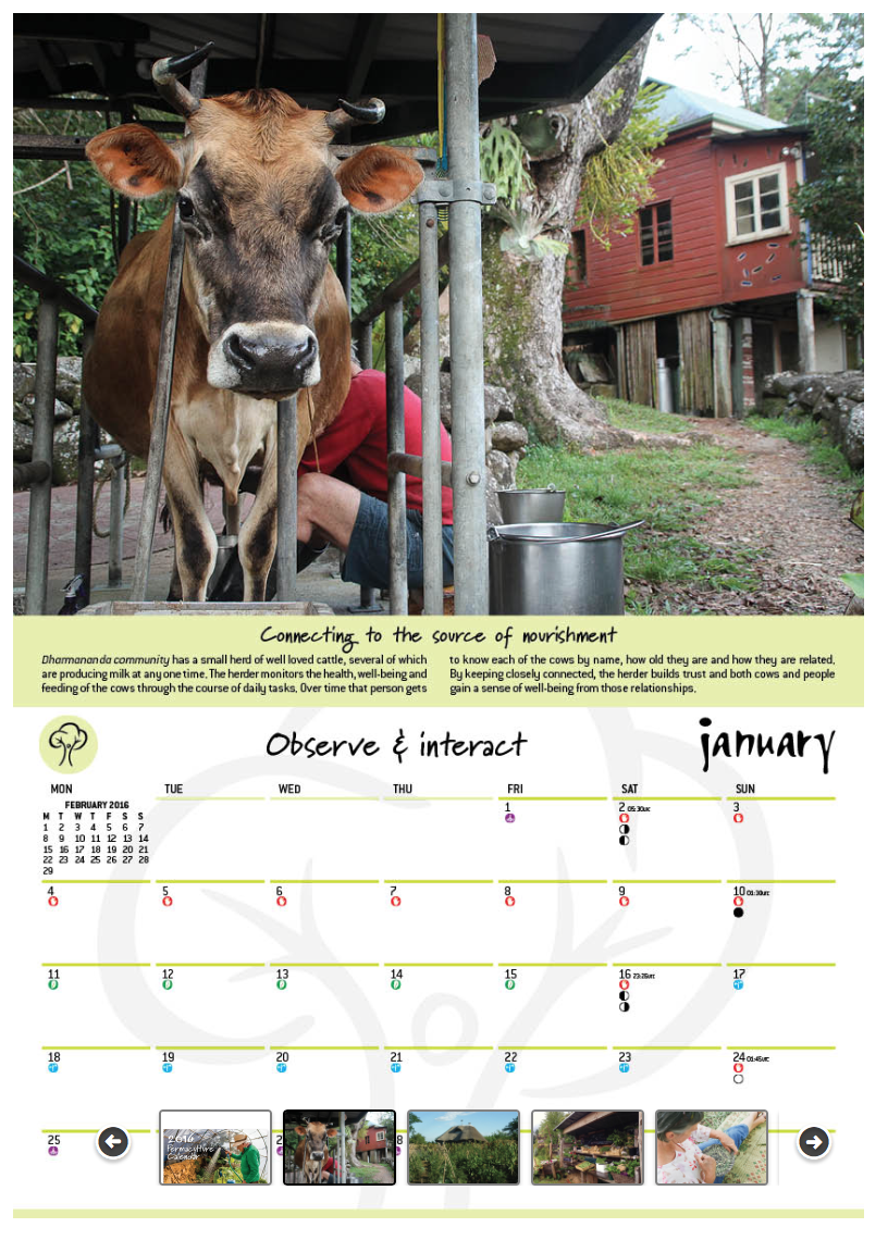 Screen Shot 2015-08-16 at 7.45.34 am