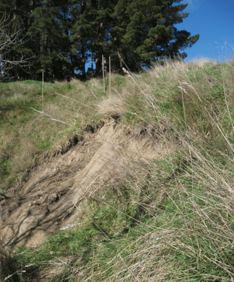 Screen Shot 2015-08-20 at 6.11.33 am