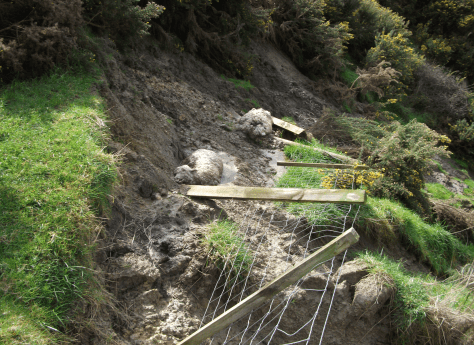 Screen Shot 2015-08-30 at 7.48.17 am