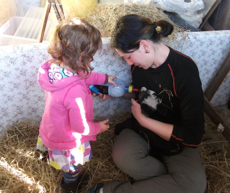 Screen Shot 2015-08-30 at 7.53.00 am