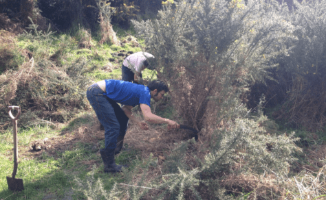 Screen Shot 2015-09-02 at 7.52.24 am