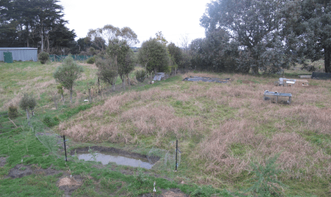 Screen Shot 2015-09-04 at 10.05.26 am