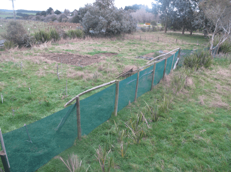 Screen Shot 2015-09-04 at 10.05.36 am