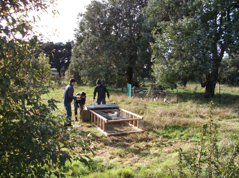 Screen Shot 2015-09-04 at 10.05.45 am