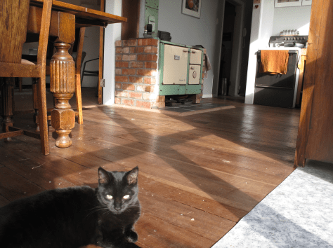 Screen Shot 2015-09-07 at 12.07.04 pm