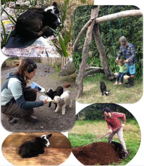 Screen Shot 2015-09-14 at 5.17.46 pm