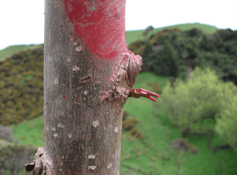 Screen Shot 2015-09-20 at 6.53.09 am