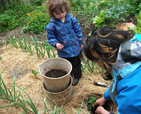 Screen Shot 2015-09-20 at 6.54.04 am