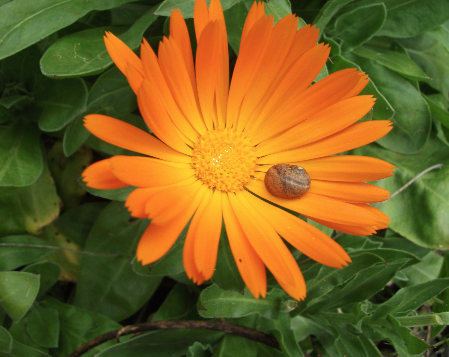 Screen Shot 2015-10-04 at 1.33.59 pm