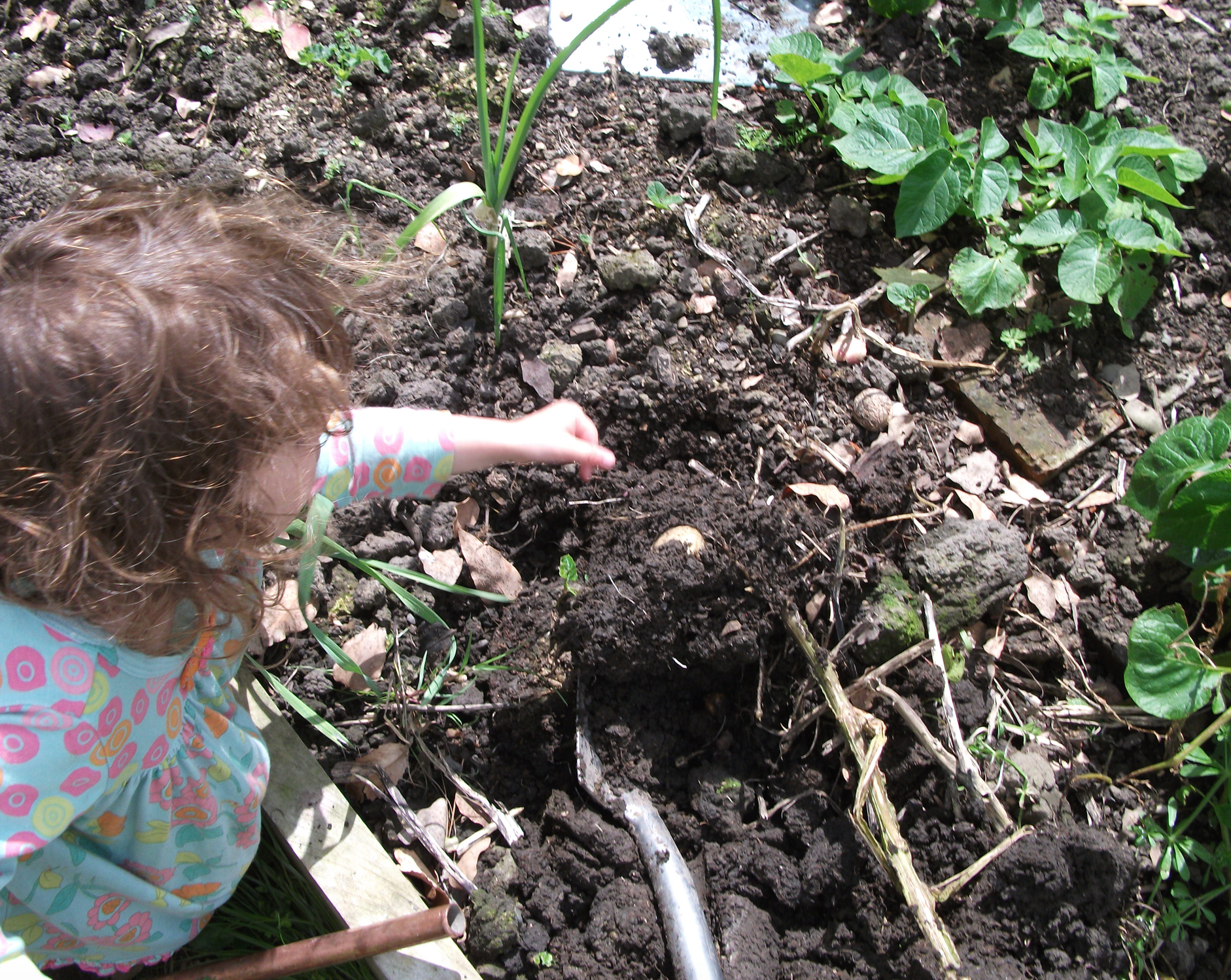 Screen Shot 2015-10-04 at 1.34.08 pm