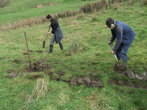 Screen Shot 2015-10-10 at 6.49.48 am