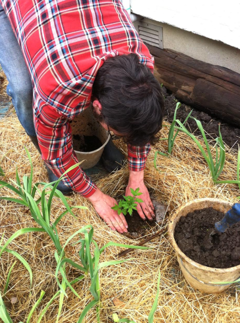 Screen Shot 2015-10-18 at 4.35.51 pm