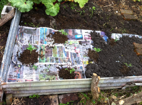 Screen Shot 2015-10-18 at 4.36.26 pm