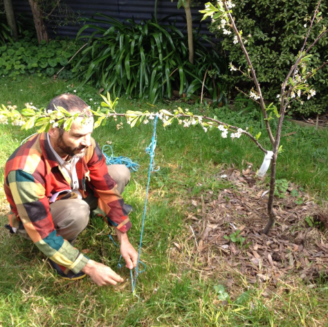 Screen Shot 2015-10-18 at 4.37.13 pm