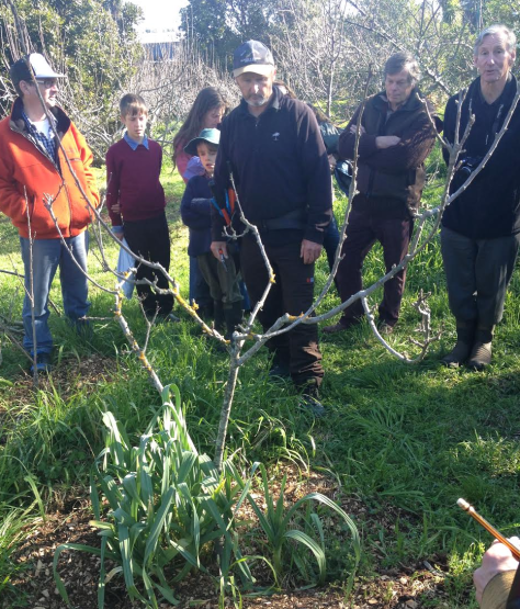 Screen Shot 2015-10-18 at 4.37.43 pm