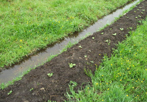 Screen Shot 2015-10-26 at 6.15.11 am