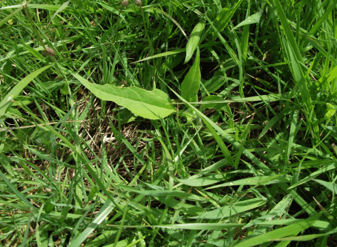 Screen Shot 2015-10-26 at 6.16.21 am