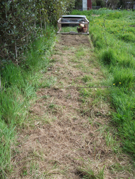 Screen Shot 2015-10-26 at 6.20.54 am