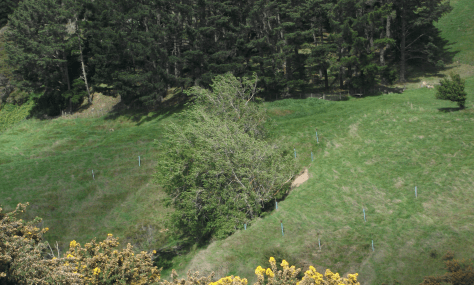 Screen Shot 2015-11-06 at 9.45.48 am