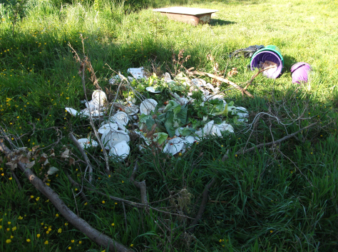 Screen Shot 2015-11-08 at 6.51.10 am