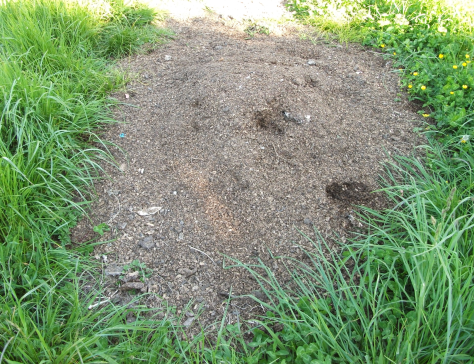 Screen Shot 2015-11-08 at 6.52.09 am