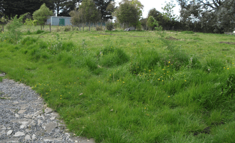 Screen Shot 2015-11-08 at 6.53.42 am