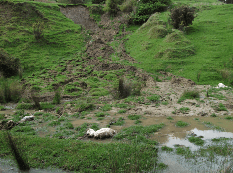 Screen Shot 2015-11-15 at 3.12.47 pm