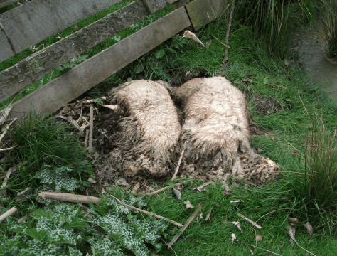 Screen Shot 2015-11-15 at 3.13.03 pm