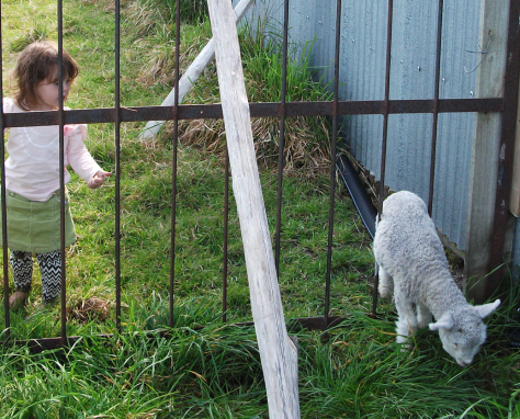 Screen Shot 2015-11-15 at 3.16.29 pm