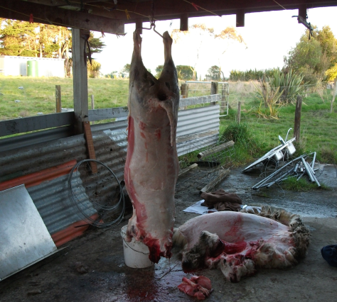 Screen Shot 2015-11-15 at 3.17.46 pm