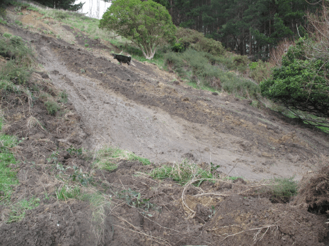 Screen Shot 2015-11-20 at 10.47.16 am