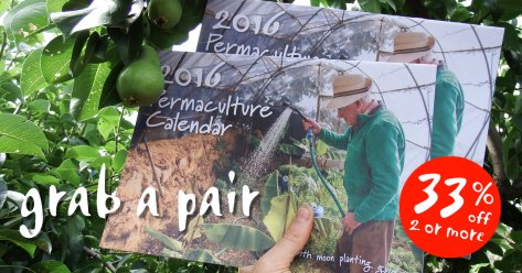 Grab a Pair of Calendars FB